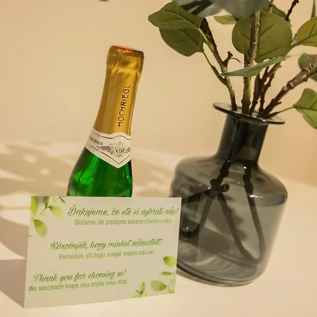 Residence Samorin Apartment Samorin